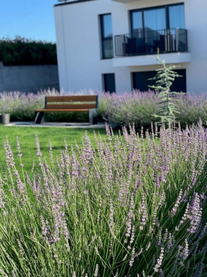 Paskom Apartmanház Nyergesujfalu Kültér fotó
